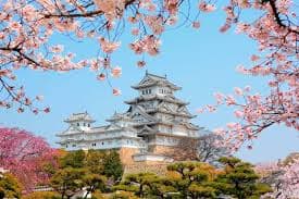 Japan university