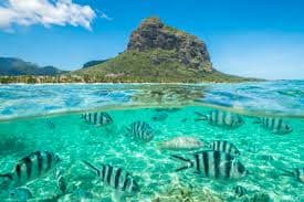 Mauritius students