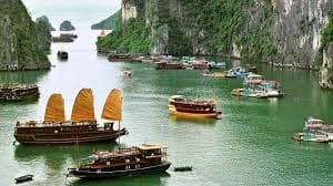 Vietnam students